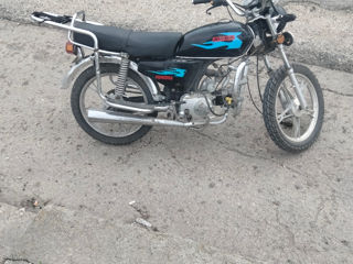 Alpha Moto Zs50f foto 2