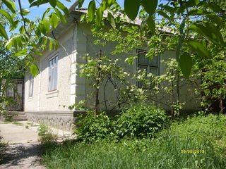 Casa EDINEȚ foto 1