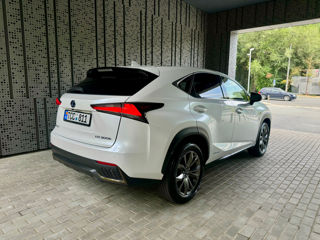 Lexus NX Series foto 4