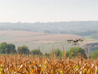 Prelucrarea câmpurilor cu Agrodrone foto 2