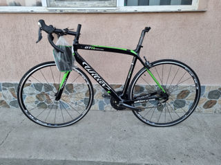 Wilier Gtr Grandturismo carbon новый(nou) foto 2