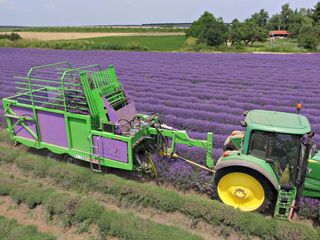 Combina pentru strangerea recoltei de lavanda