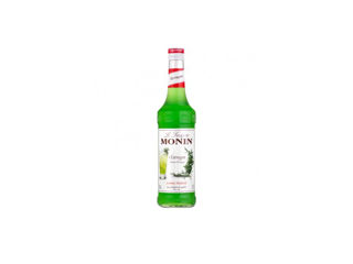 Sirop tarhon de monin tarragon gustul-copilăriei, livrare moldova chișinău