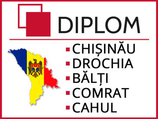 Biroul de traduceri Diplom: 19 ani de experiență! foto 19