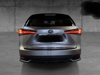 Lexus NX Series foto 5