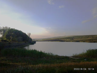 Lac foto 2