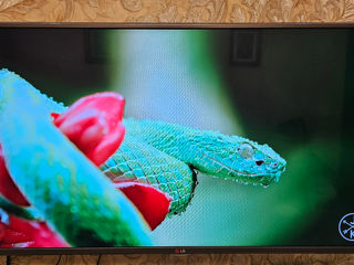 Telivizor LED 42" LG 42LB563V foto 5