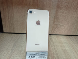 Apple iPhone 8 256 Gb Bat 98%