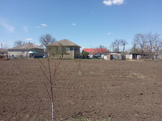 Se vinde casa cu sarai in satul Cotova foto 2