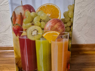 Соковыжималка Fitmix Juicer foto 4