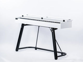 Цифровое пианино Divers D886 10в1 cover wood white (новые, гарантия, рассрочка, бесплатная доставка) foto 4