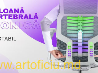 Scaun ortopedic Pofit-2 bionic - coloana vertebrala bionica foto 5