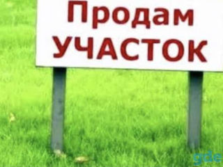 продам дачный участок  в Ваду луй Водэ