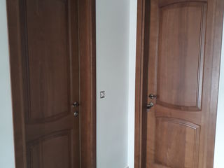 Входные и межкомнатные двери из массива дерева, козырьки. Usi din lemn masiv,copertine