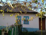 Vind Casa in satul Sofia , pret negociabil foto 2
