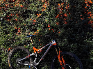 Commencal meta am 29 foto 2