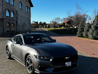 Ford Mustang foto 8