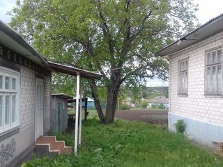 Urgent !!! Se vinde casa  cu sarai in satul Chetrosu, r-nul Drochia , pe linga casa sunt 40 soci. foto 1