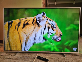 Urgent Philips LED 4K Smart Youtube Mare 165cm (65") foto 8
