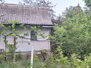 Продам дачу в Оницканах Криулянский район 25 км от Кишинева foto 2