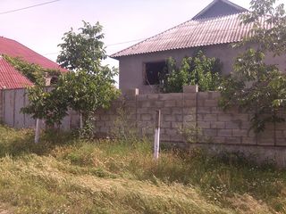 Se vinde casa  in satul Molovata foto 8