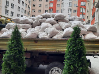 Вывоз мусора с погрузкой. evacuam gunoi. foto 1