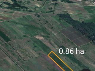 Se vînd 8 terenuri agrare. În aceeași regiune. S total=4.12ha. foto 9