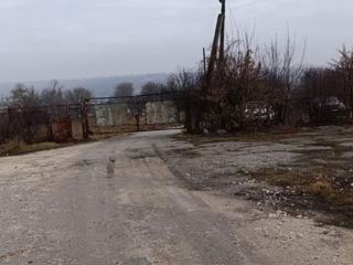 Teren pentru construcții 1,27 ha industrial, cu 2 depozite câte 500 M2 fiecare. foto 3