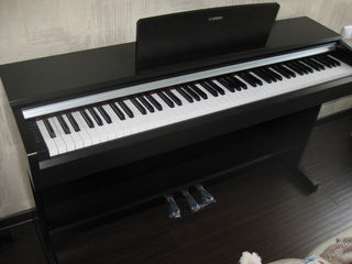 Электронные пианино foto 2