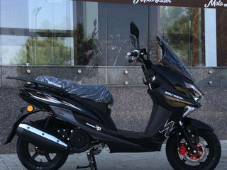 Wolf Motors Reducere!!!