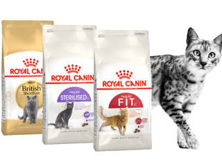 Корм для собак и кошек от фирмы Royal canin foto 2