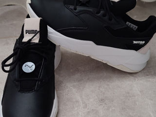 Puma mar. 38,5 Botanica