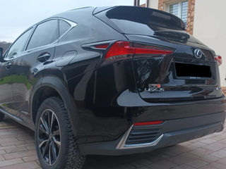 Lexus NX Series foto 14