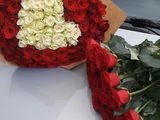 Розы молдавские от foto 5