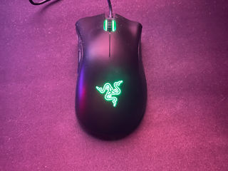 Razer DeathAdder Essential Black foto 2