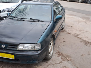 Nissan Primera foto 6