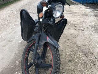 Alpha Moto