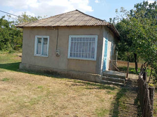 Casa de vinzare foto 3