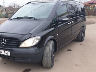 Mercedes Viano foto 7