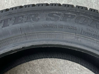 255/45 R19 Dunlop Winter Sport 5 foto 8