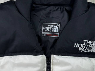 Vesta The North Face