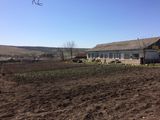 Se vinde casa delocuit cu teren 36 ari,posibil schimb contra 3 cote pământ arabil în Baimaclia. foto 1