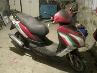 Forte F1