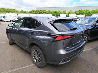 Lexus NX Series foto 3