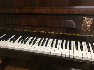 Пианино «Элегия» foto 3