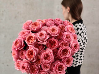 Trandafiri premium olandezi de la 37 mdl Livrare flori 24/24 доставка цветов flowers delivery foto 6