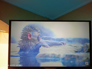 Philips Smart tv 43, foto 1