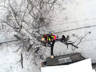 Defrisarea copacelor. Arborist! Taierea copacilor în spații închise. Alipinist. foto 2