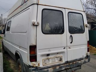 Ford Transit (Транзит) foto 3