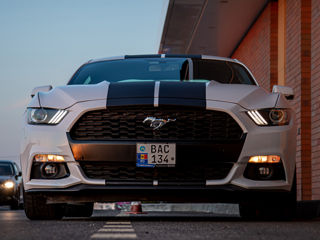 Ford Mustang foto 2